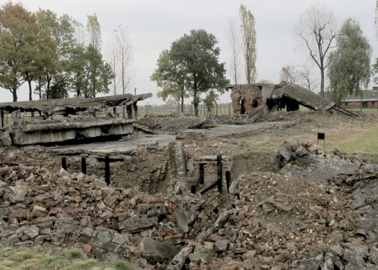 Auschwitz II-Birkenau, Chambre à gaz, Crématoire II (DR)