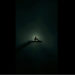 (Vinay Tryambake / Unsplash)