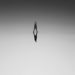 Photogrpahie Florian Yvinec / Unsplash