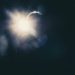 (photo : Niels Smeets / Unsplash)